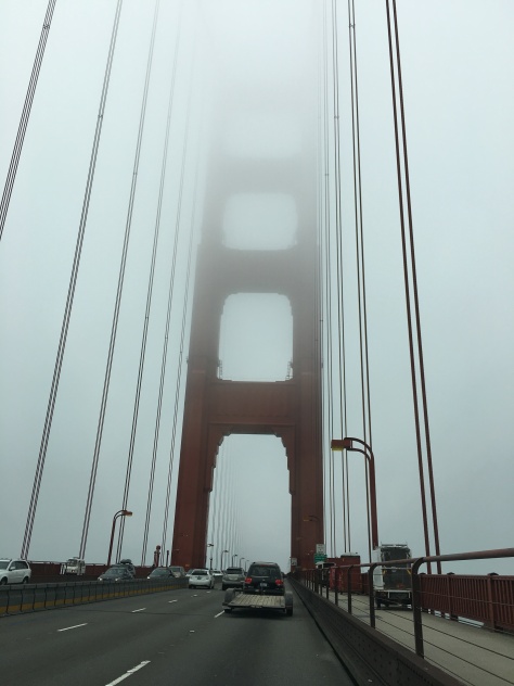 Driving to the San Francisco Flower Market on a foggy day